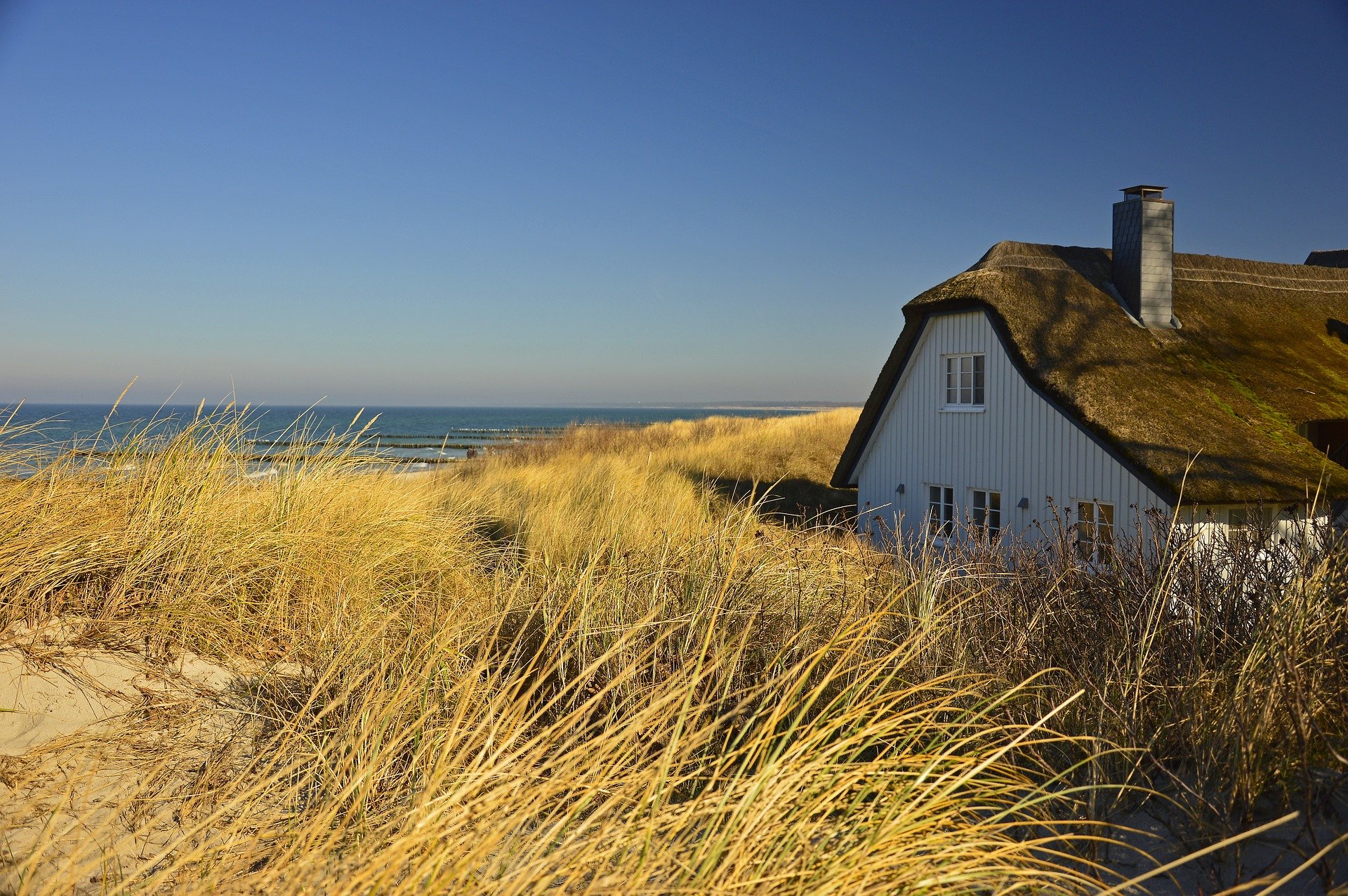 Could Renting Cost You More in Retirement Than You Think?
