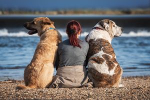 Financial Help & Advice